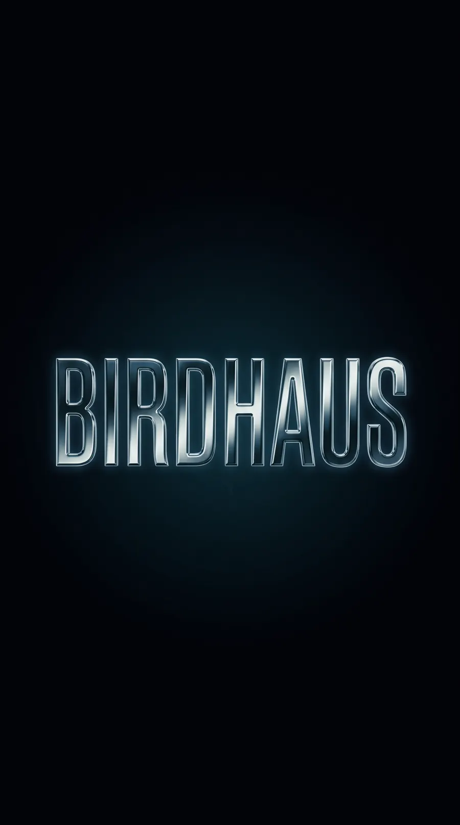 BirdHaus wordmark rendered in liquid chrome on a dark field